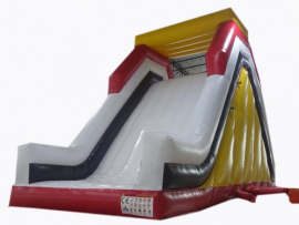 NEW DOLPHIN SLIDE