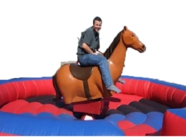 rodeo-horse